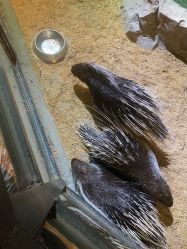 -酷嗒动物文化乐园(cutezoo西溪乐天城店)