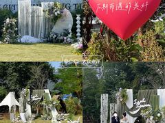-芭厘农庄老字号·清远鸡