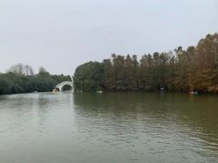 -上海海湾国家森林公园