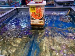 -盒马X会员店(王府井奥莱UP TOWN店)