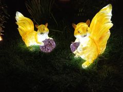 景点-南宫五洲植物乐园