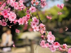 -静安雕塑公园