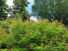 -中国科学院西双版纳热带植物园