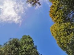 -山王坪喀斯特国家生态公园