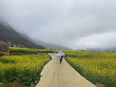 -八卦田遗址公园