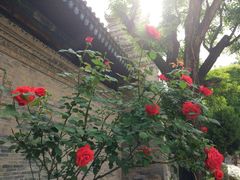-西安关中民俗艺术博物院