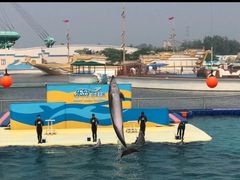 -秦皇岛乐岛海洋王国