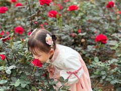 -人民公园(罗湖区)