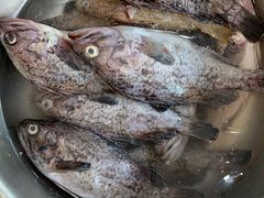 -山海关清和浑锅店