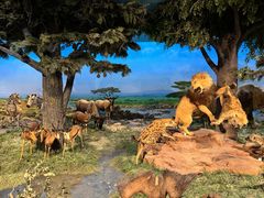 -国家自然博物馆