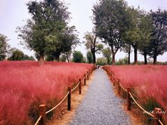 -汉长安城未央宫国家考古遗址公园