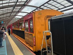 -岚山嵯峨野观光小火车