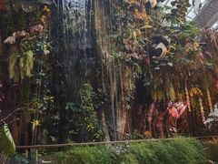 -正佳雨林生态植物园