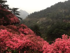 -木兰云雾山