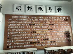 大堂-梧州双钱龟苓膏(丽港航母店)