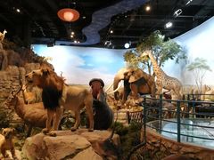 -陕西自然博物馆