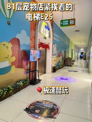 -极速酷玩漂移卡丁车俱乐部(世纪金源购物中心店)