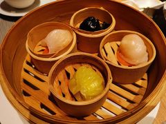 -觅唐MITONG(鸟巢店)