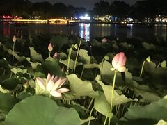 -什刹海