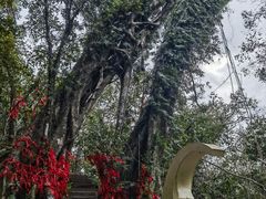 -七仙岭温泉国家森林公园