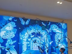 -深圳龙华星河COCO City(民治店)