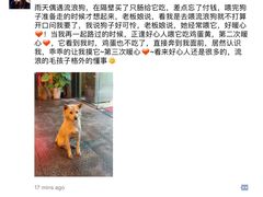 -威尔仕健身(新天地店)