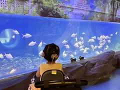 -梦幻海洋王国(吾悦广场张家港店)