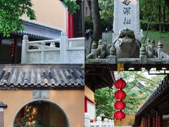 -灵谷景区
