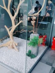 -木北造型