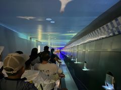 -白鹤梁水下博物馆
