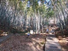 -敬亭山风景名胜区