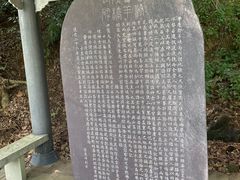 -羚羊峡古栈道森林公园