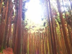 -山王坪喀斯特国家生态公园