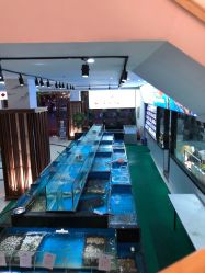-东庭海鲜酒店(世茂广场店)