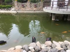 -芭东小镇温泉