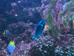 -海合安青岛极地海洋公园