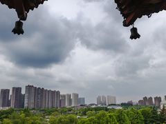 -梅园