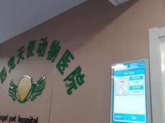 -天使宠物医院·犬猫分诊(彩虹店)