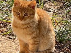 -狼山风景名胜区