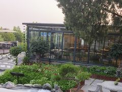 -蘇河湾·新鲁菜·泰山宴(泰山店)