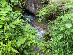 -MOJ coffee(瓯海泽雅水碓坑店)