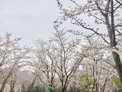-堤角公园