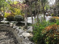 -莲湖公园