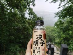 -圌山