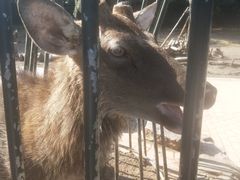 -无锡动物园·太湖欢乐园