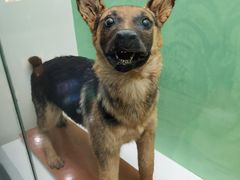 -国家自然博物馆