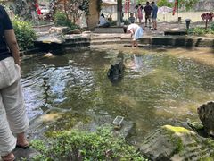 -成都市活水公园