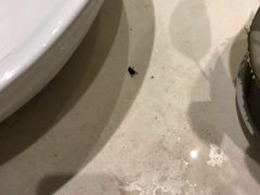 -星美国际影商城(黄龙店)