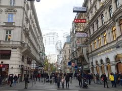 -斯蒂芬主教座堂(Stephansdom)