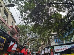 -回坊马二饺子馆